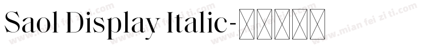 Saol Display Italic字体转换